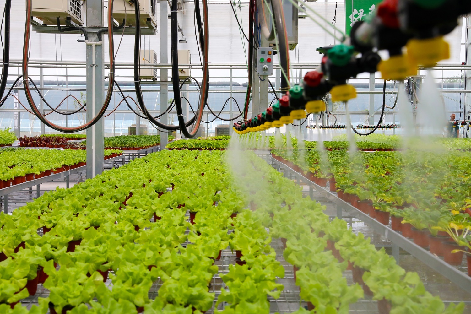 第八屆京津冀蔬菜產業(yè)發(fā)展大會 2000余種農產品與創(chuàng)新成果集中展示，盒馬等知名企業(yè)齊聚覓商機