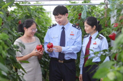 稅務(wù)助農(nóng)辦實事 特色產(chǎn)業(yè)新年啟新程